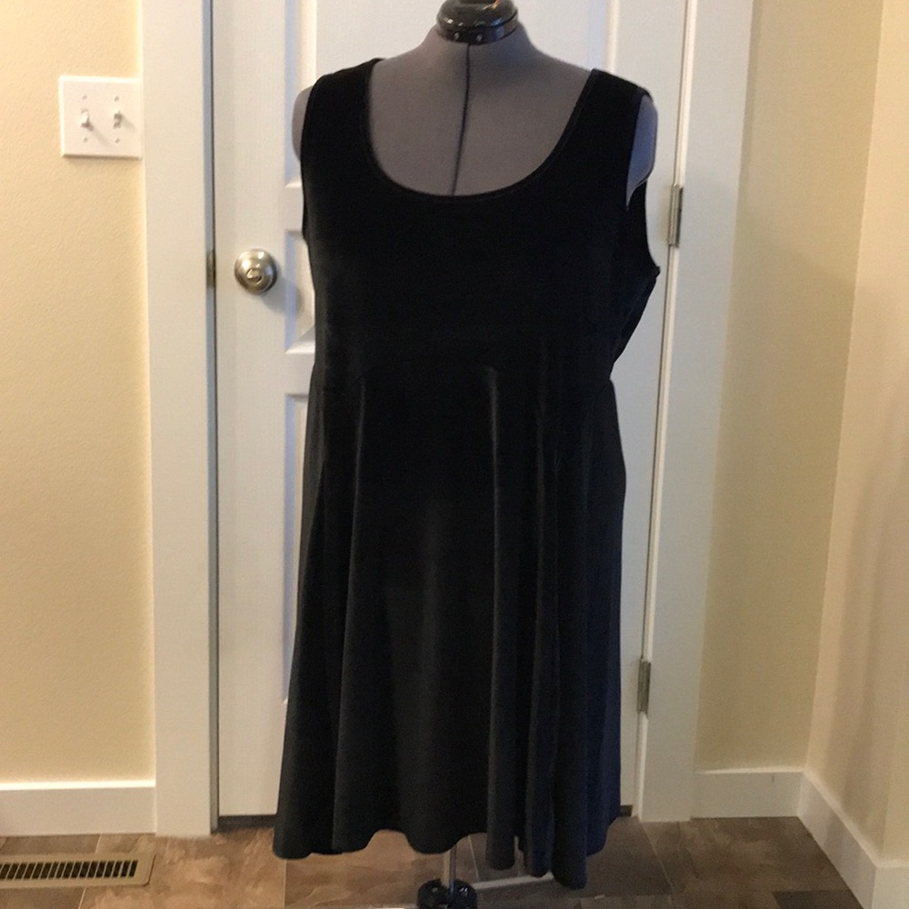 NWT Stretch Velour Skater Dress PS 4 (26/28w)
